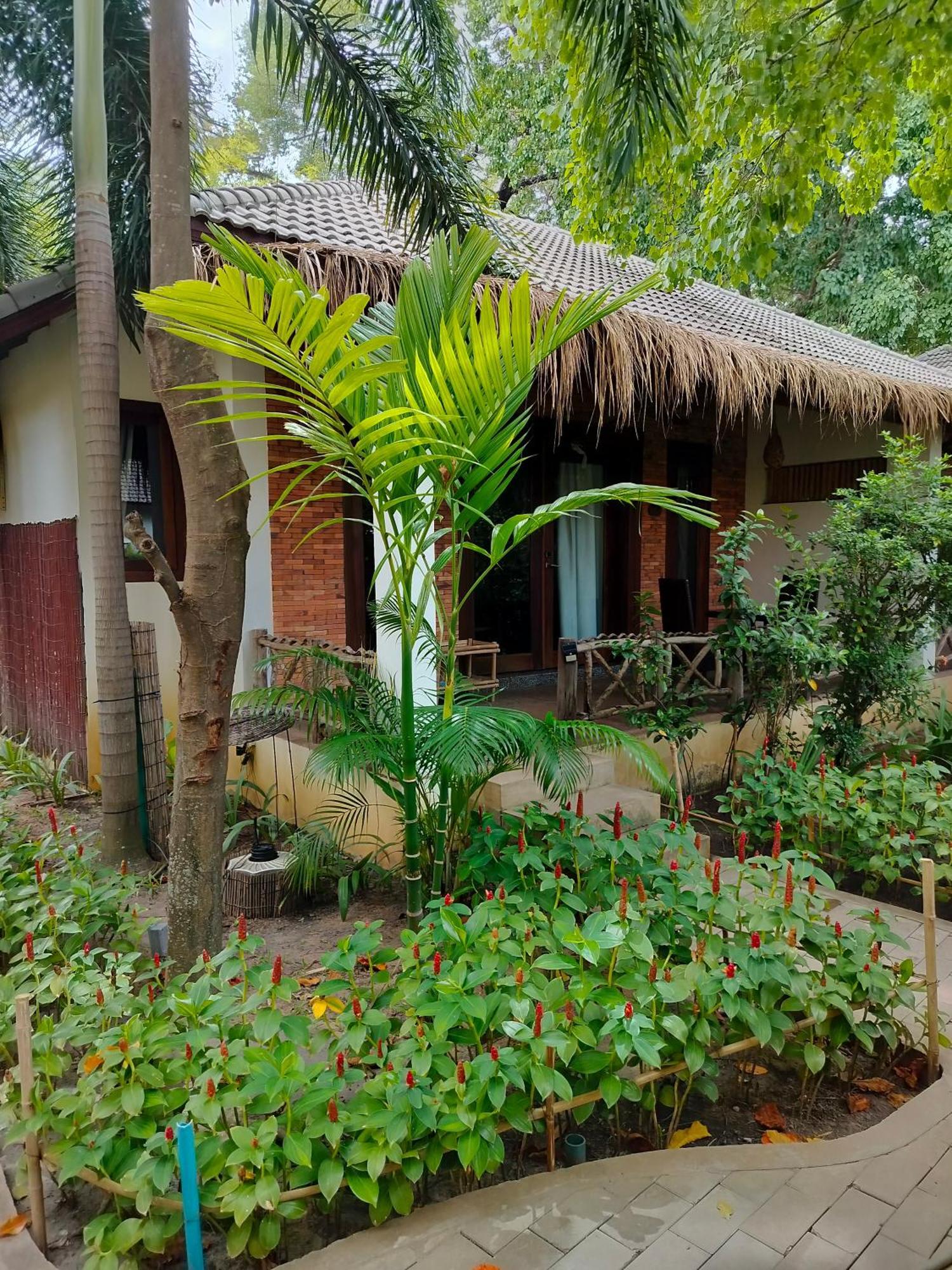 La Riviere D' Angkor Resort Siem Reap Zewnętrze zdjęcie